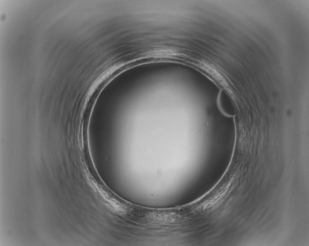 X0000059830939200510241417