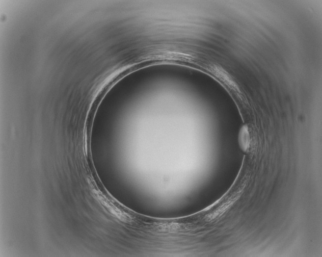 X0000059830940200510241417