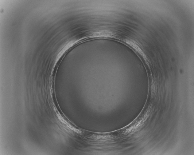 X0000059830941200510241417