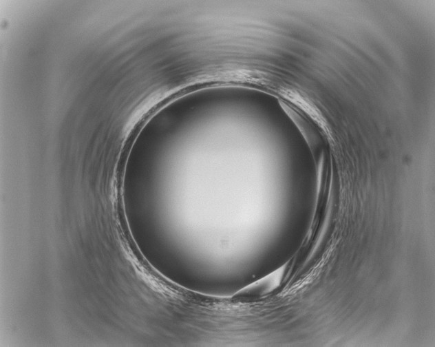 X0000059830944200510241417