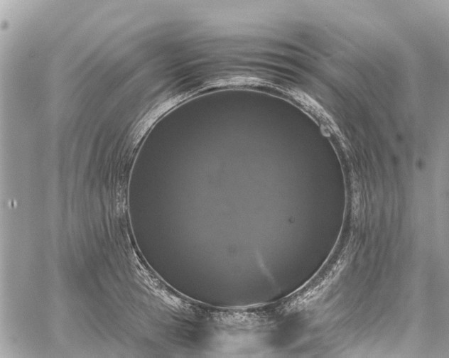 X0000059830945200510241417