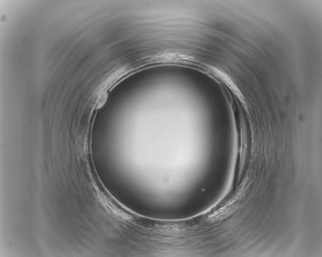 X0000059830946200510241417