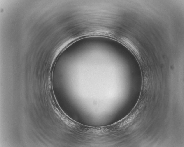 X0000059830948200510241417