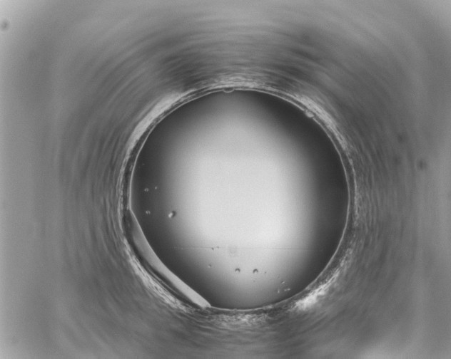 X0000059830949200510241417