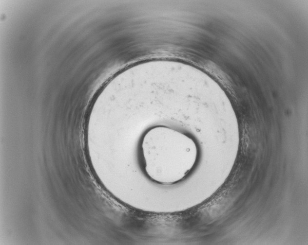 X0000059830950200510241417