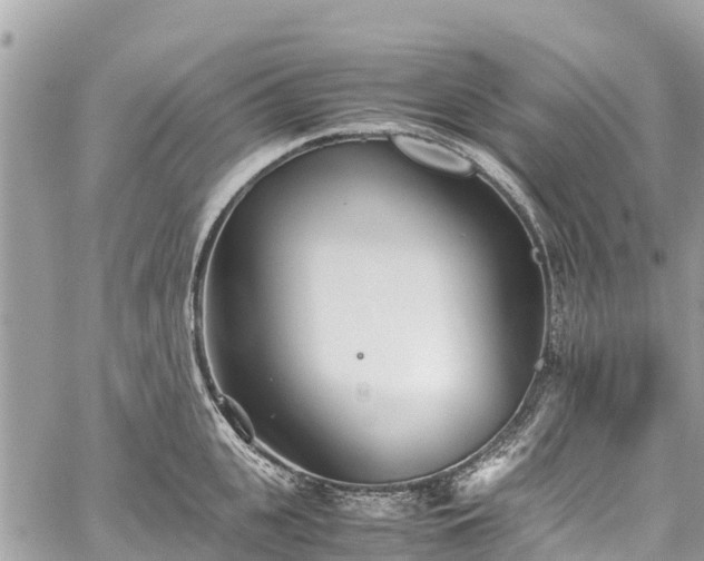 X0000059830951200510241417