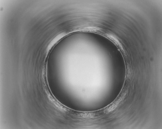 X0000059830952200510241418