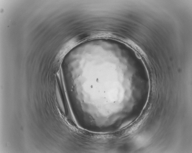 X0000059830953200510241418