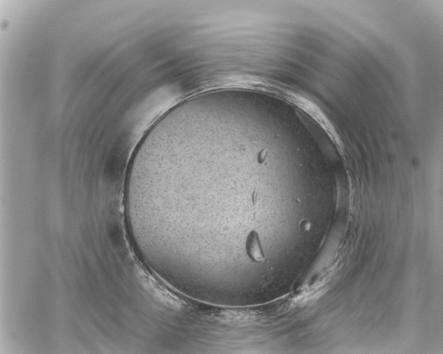 X0000059830954200510241418