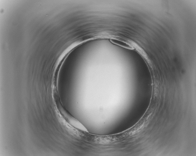 X0000059830955200510241418