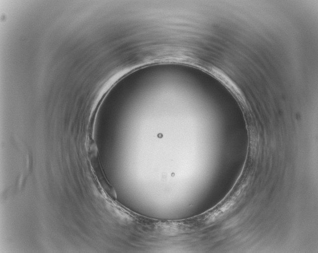 X0000059830956200510241418