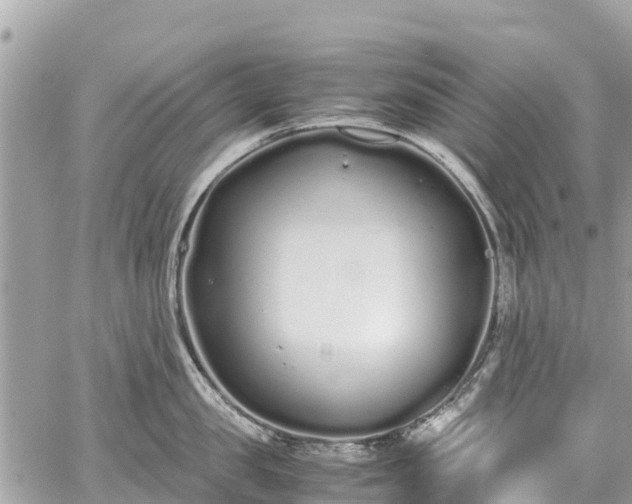 X0000059830957200510241418