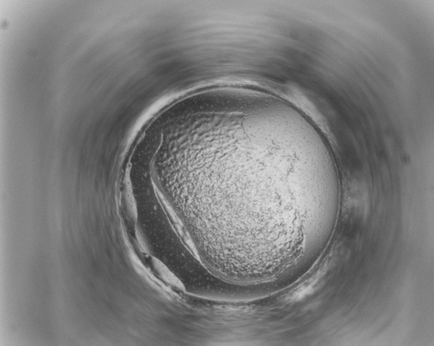 X0000059830958200510241418