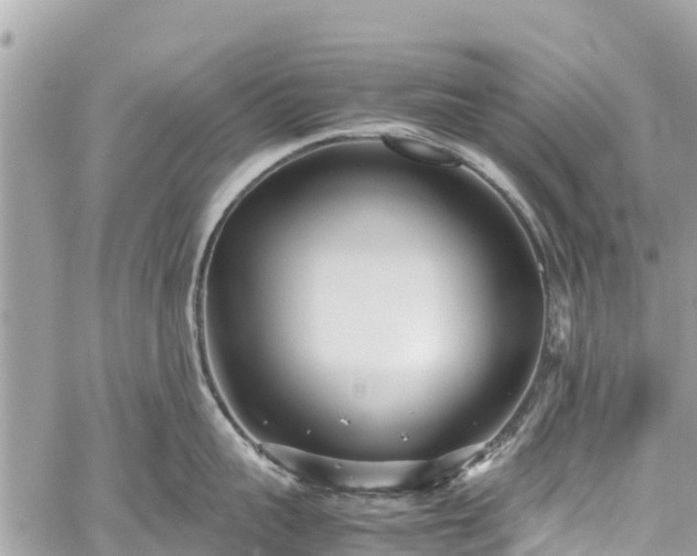 X0000059830959200510241418