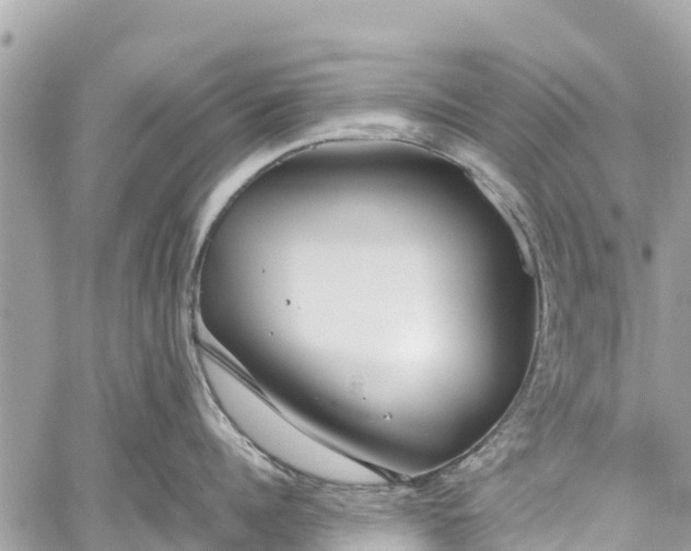 X0000059830960200510241418