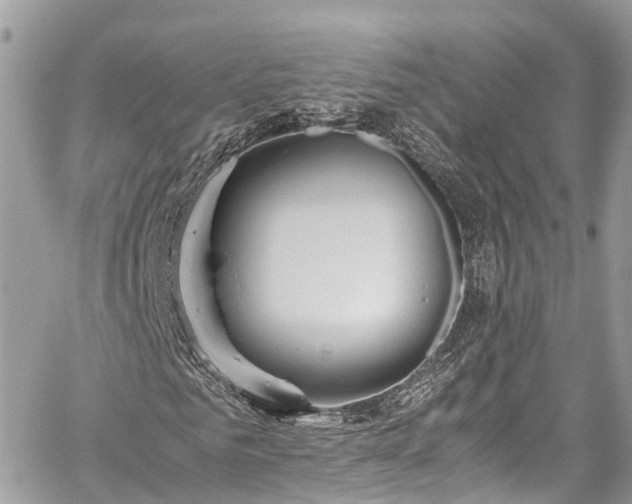 X0000059830961200510241417