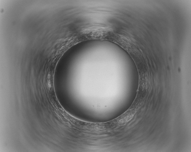 X0000059830962200510241417