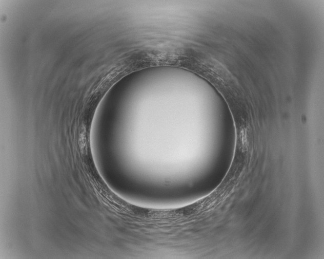 X0000059830963200510241417