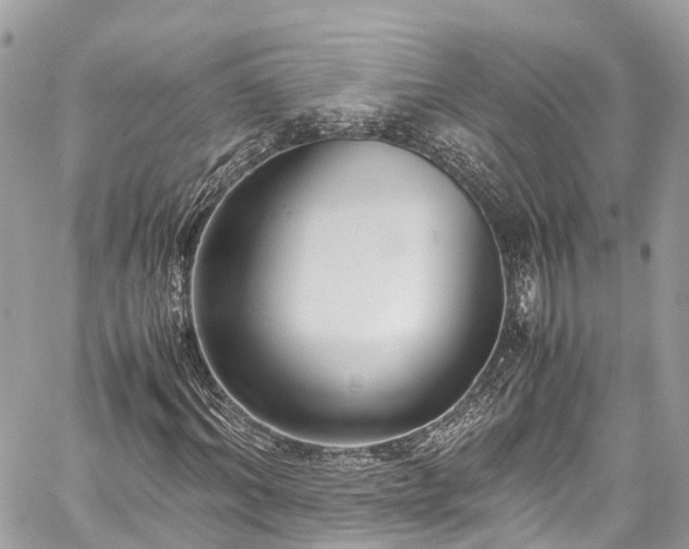 X0000059830964200510241417