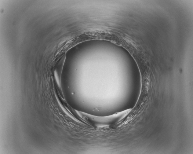 X0000059830965200510241417