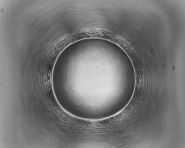 X0000059830966200510241417