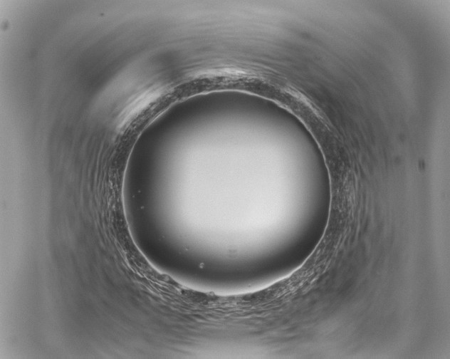 X0000059830967200510241417