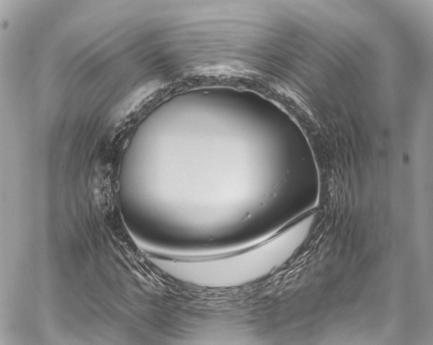 X0000059830968200510241417