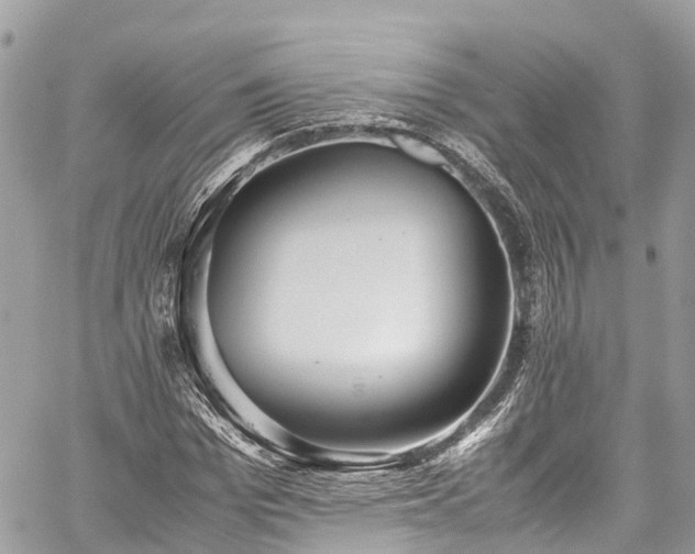 X0000059830969200510241417