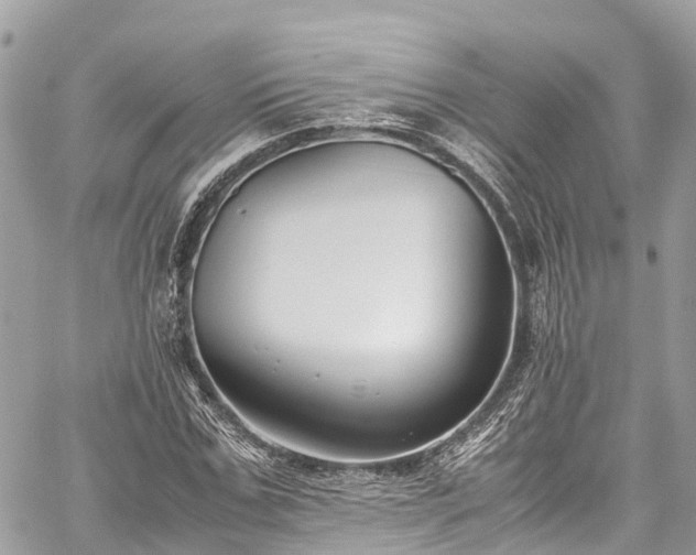 X0000059830971200510241417