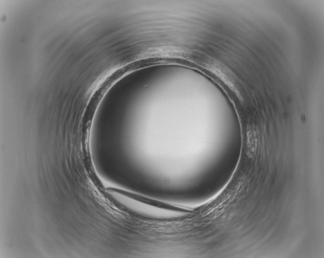 X0000059830972200510241417