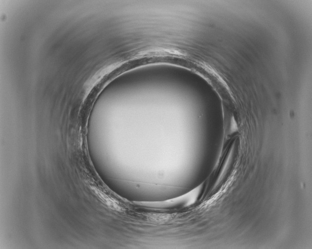 X0000059830973200510241417