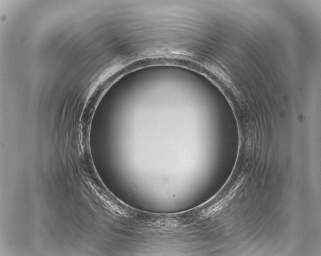 X0000059830974200510241417