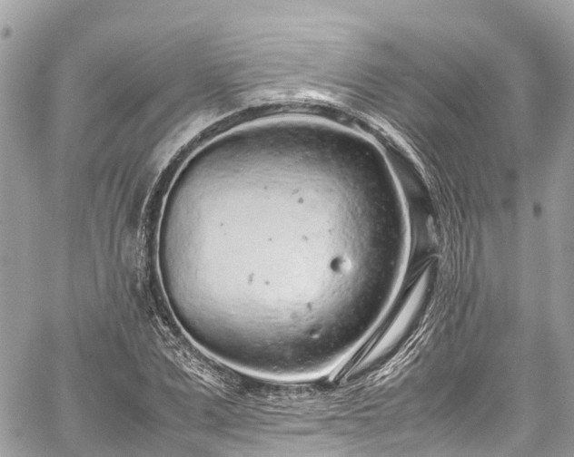 X0000059830975200510241417