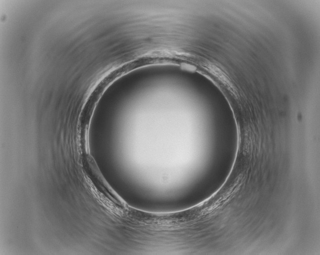 X0000059830976200510241417