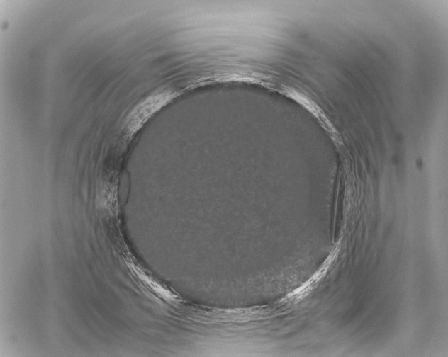 X0000059830977200510241417