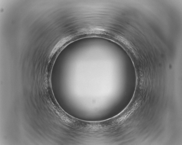 X0000059830978200510241417