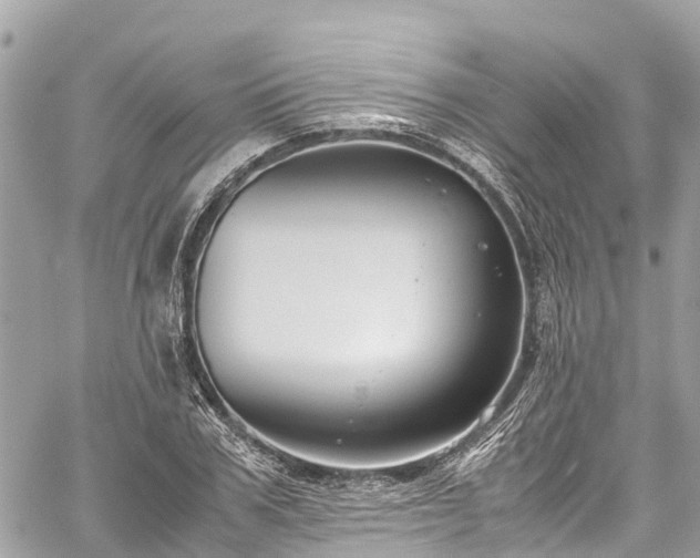 X0000059830979200510241417