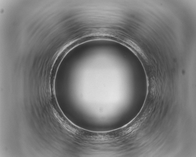 X0000059830980200510241417