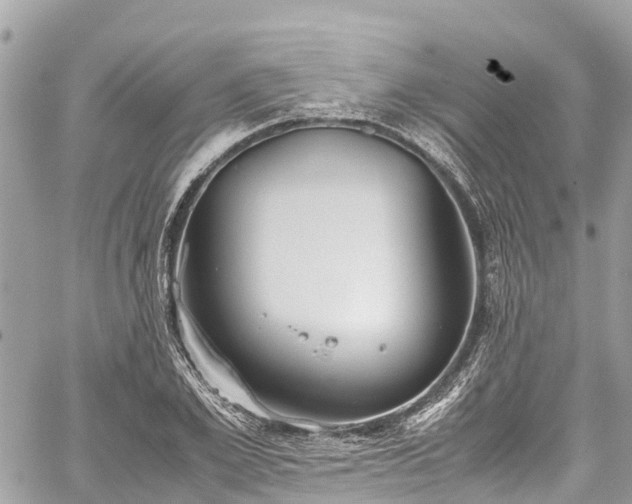 X0000059830981200510241417