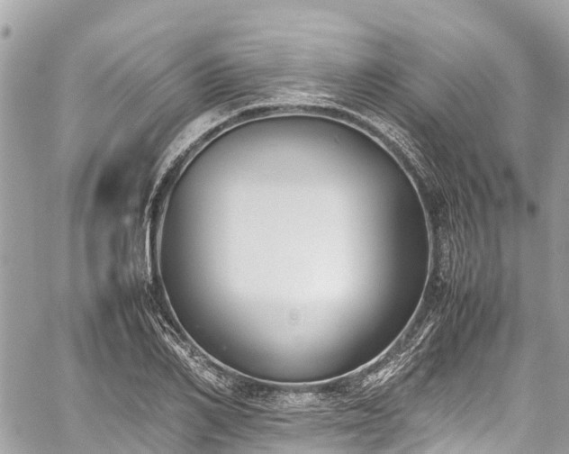 X0000059830982200510241416