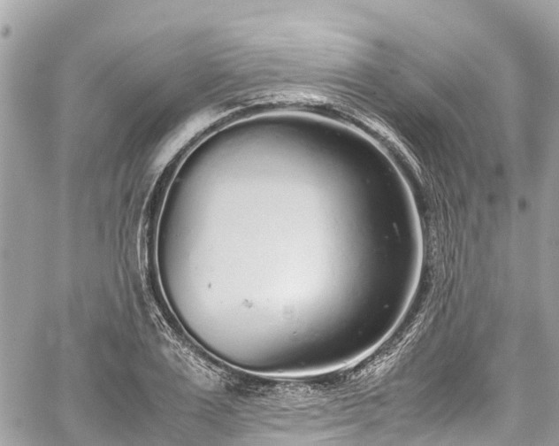 X0000059830983200510241416