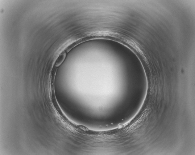 X0000059830984200510241416