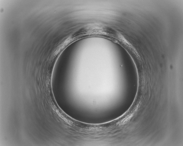 X0000059830985200510241416