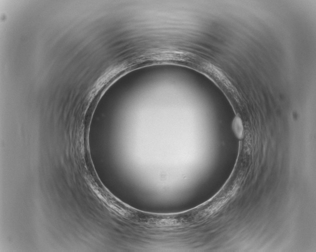 X0000059830986200510241416