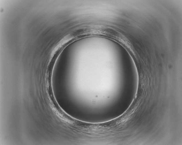 X0000059830987200510241416