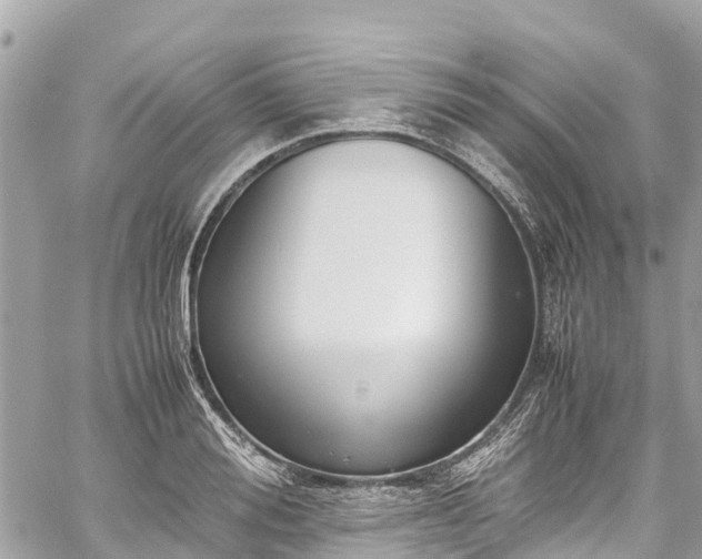 X0000059830988200510241416