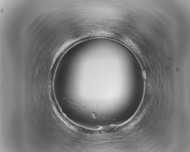 X0000059830989200510241416