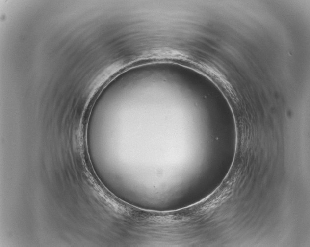 X0000059830990200510241416