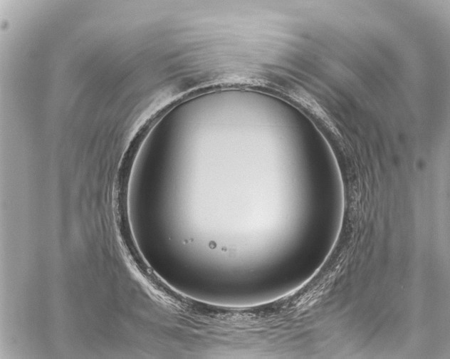 X0000059830991200510241416