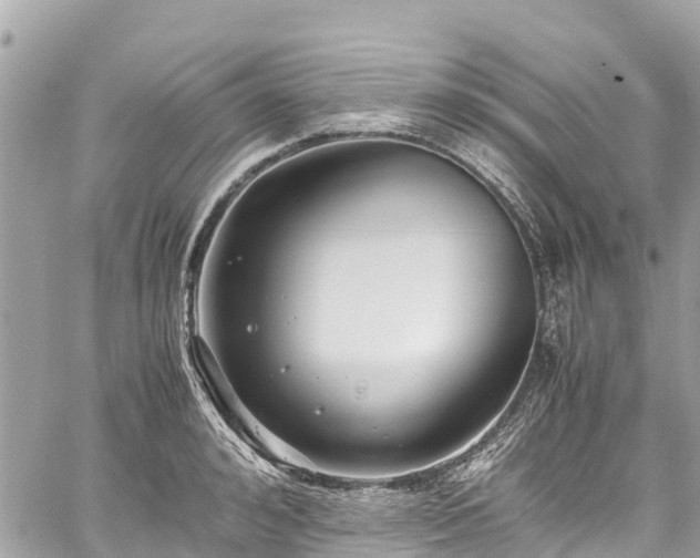 X0000059830992200510241416